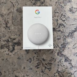 Google Nest Mini