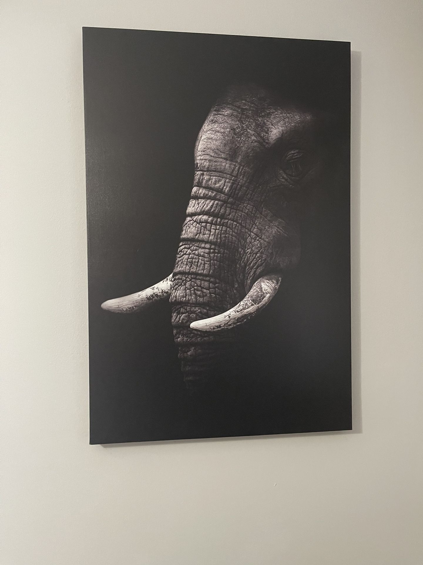 Large 24 X 36 Elephant Print