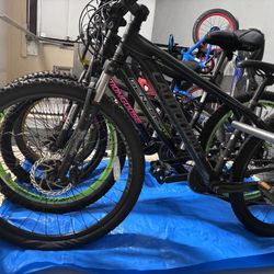 CannonDale Mountain Bike