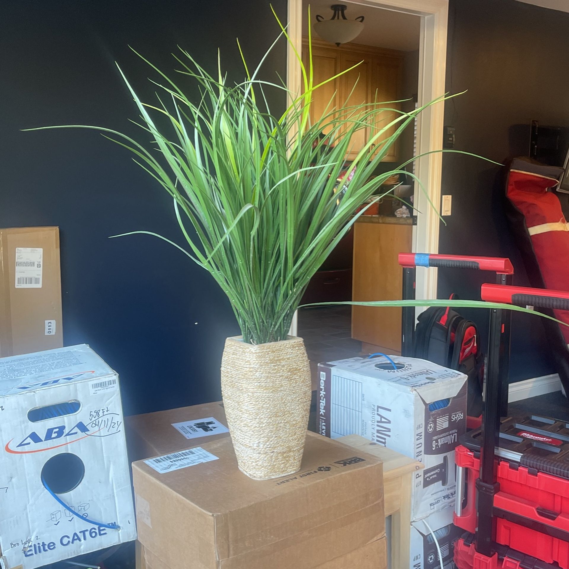Faux Plant