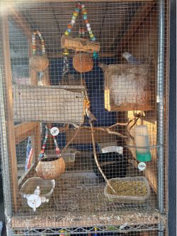 Bird cage