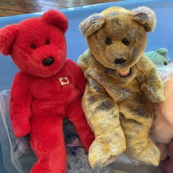 Beanie Baby Collection