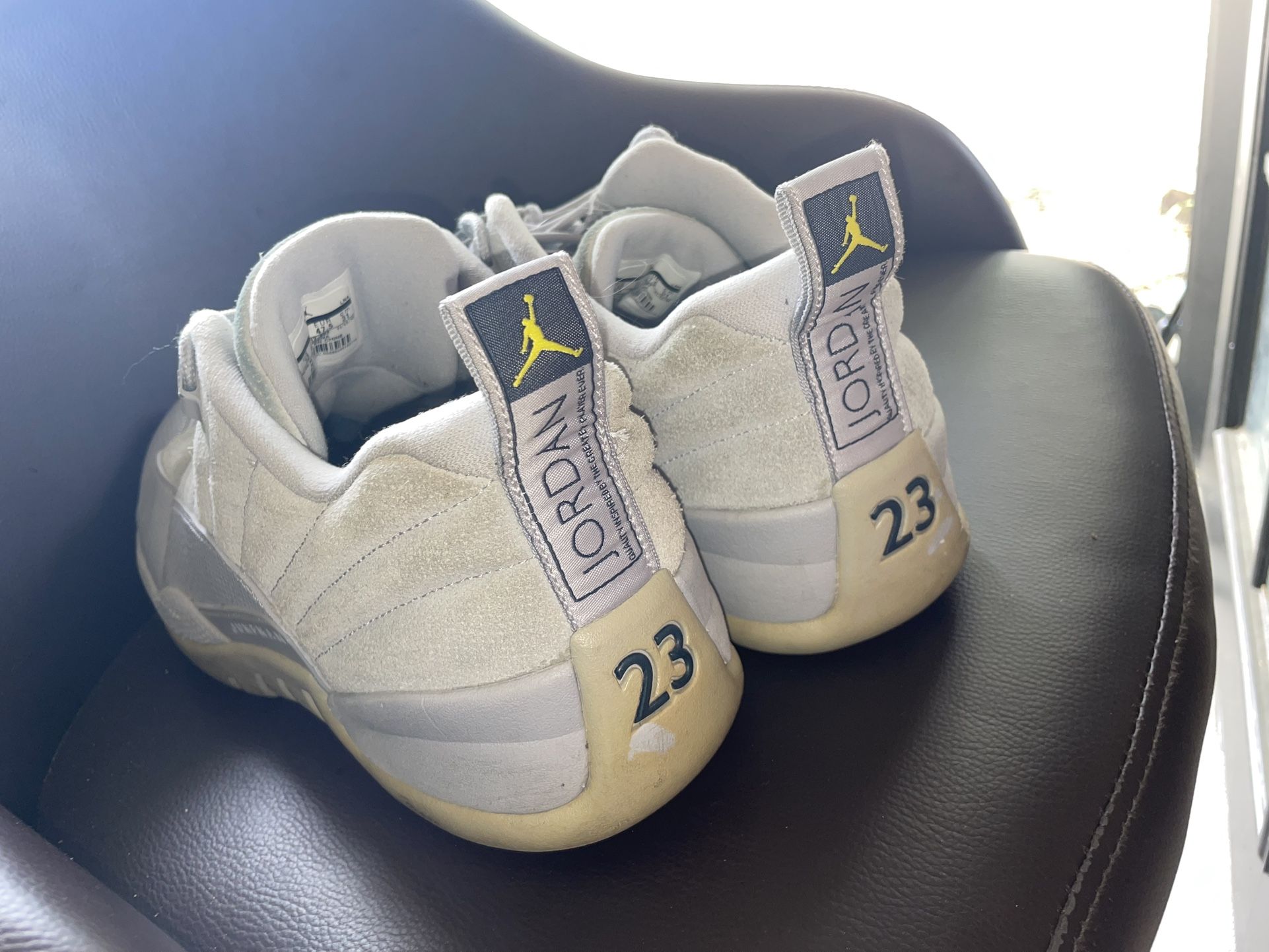 Jordan 12 Lows