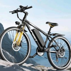 Pikabike G26 Electric Bike