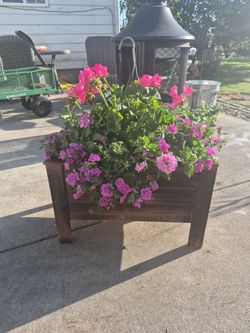 Planter boxes and a flower basket