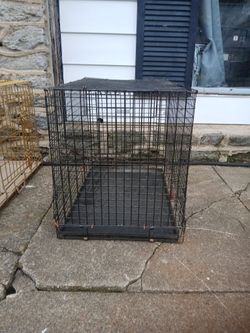 Dog Cage