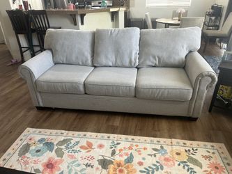Sleeper Sofa Set