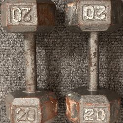 TSA 10 And 20 Pound Cast Iron Dumbbells 