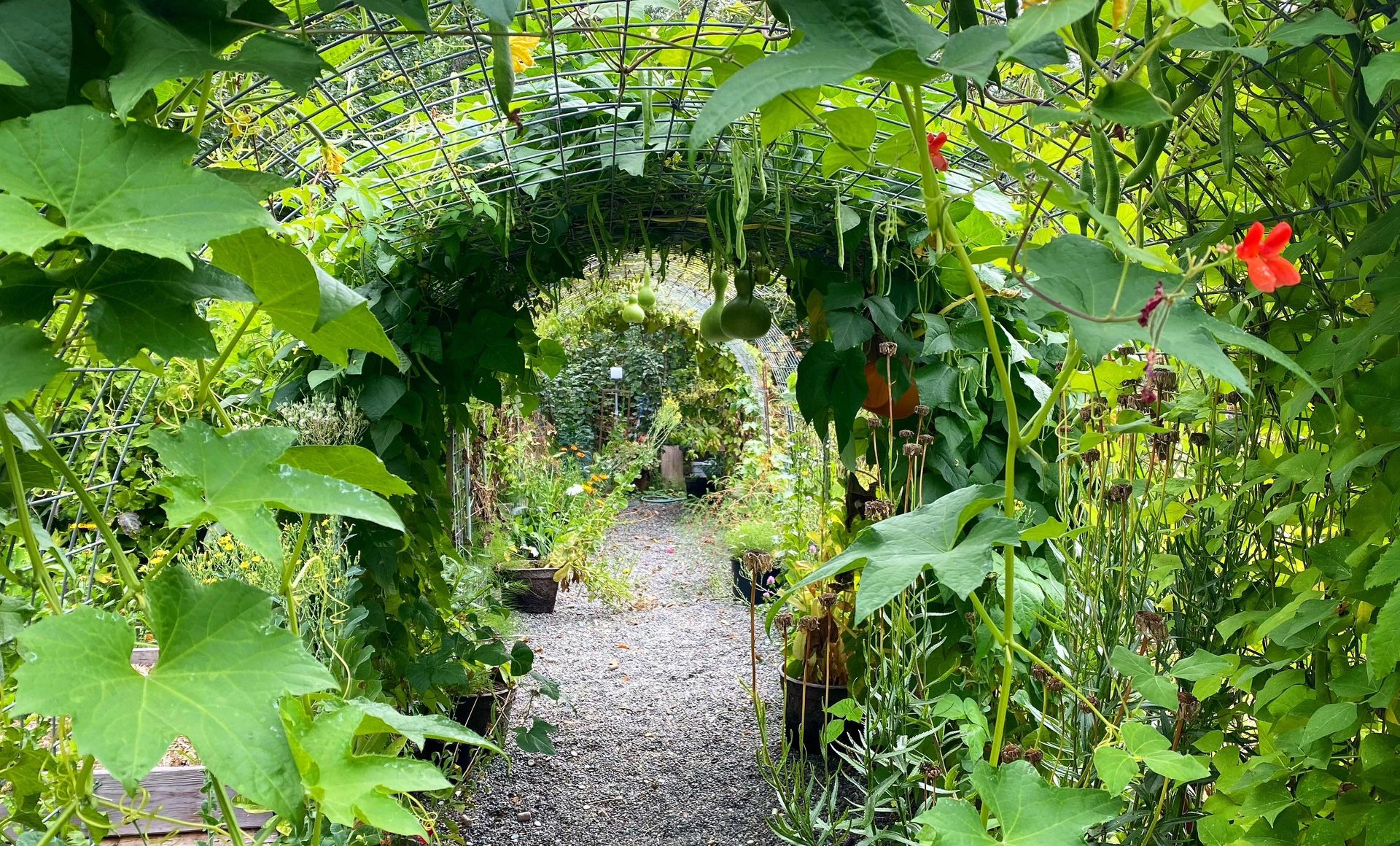 TRELLIS TUNNEL