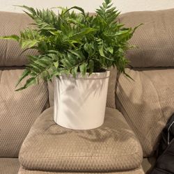 Artificial Plant
