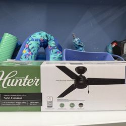 Hunter 52" Cassius Outdoor Ceiling Fan With Pull Chain