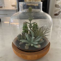 Faux Succulent Terrarium Wood Glass Home Decor Shelf Styling Boho