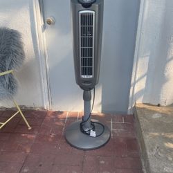 Fan