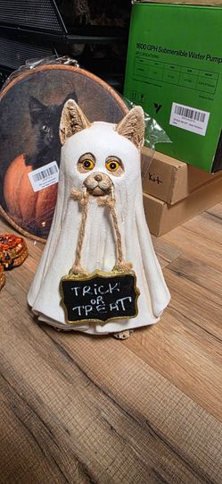 Halloween ghost cat