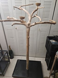 java tree