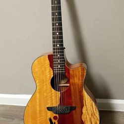 Docerola Luna "Vista Eagle" 
12 Strings luna "Vista Eagle"