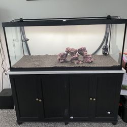 Fish Tank Starter Kit
