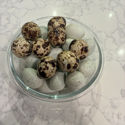 Quail eggs