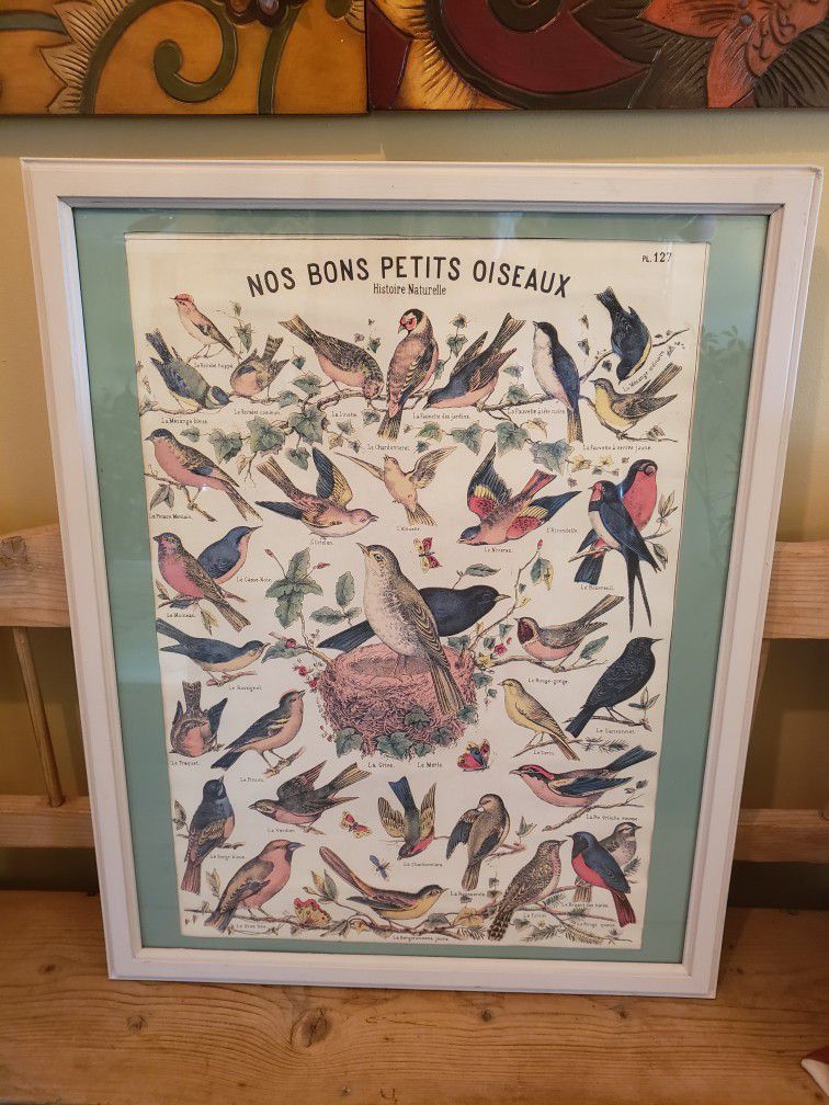 Vintage Bird Poster..Framed