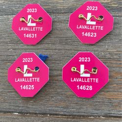 4 Seasonal Passes