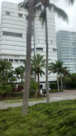 We put up (install) your hurricane shutters