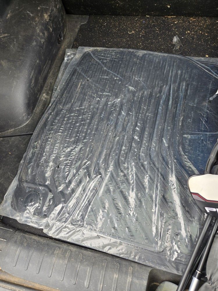 EV6 ALL WEATHER FLOOR MATS