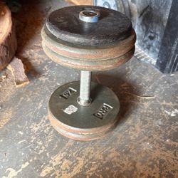 50 Pounds Single Dumbbell 
