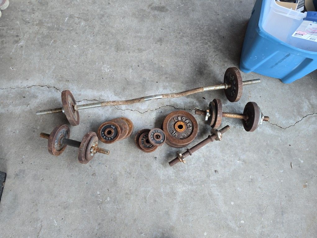 Work Out Equipment 