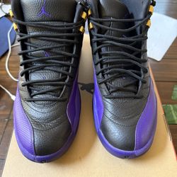 Air Jordan 12 Field Purple