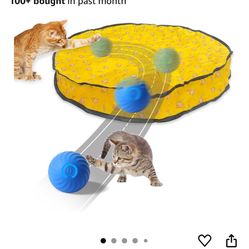 Cat toy