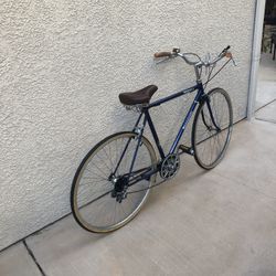 Panasonic tourist-5 bike