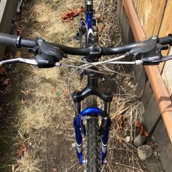 Giant Bike Boulder SE