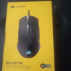 Corsair Gaming Mouse M55 RGB Pro $10 Obo 