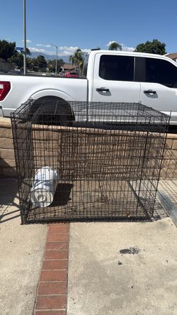 Large dog cage