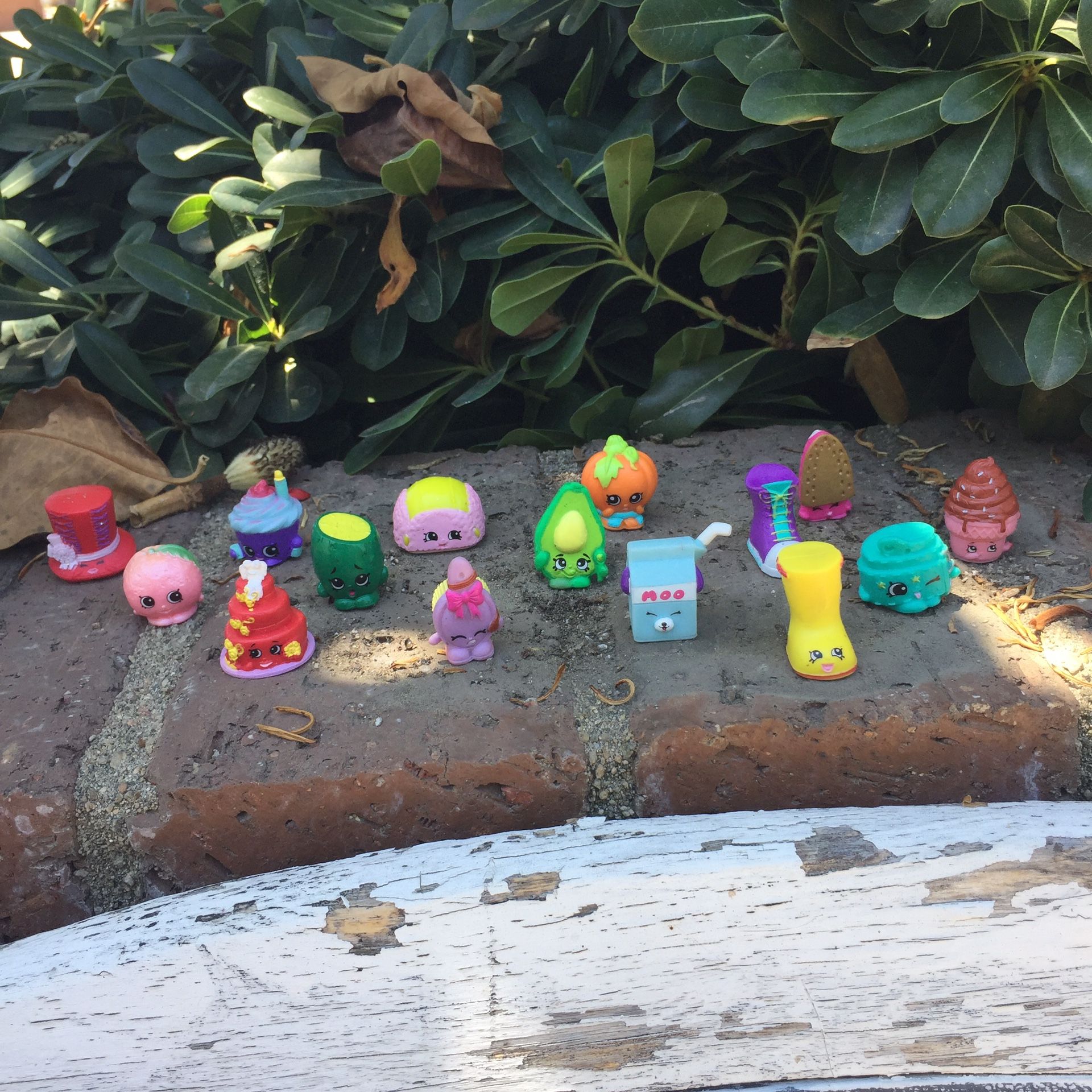 Shopkins