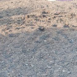 Free Horse manure