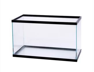 5.5 Gallons Tank