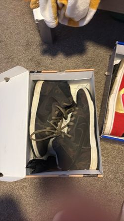 Nike dunk high pro sb