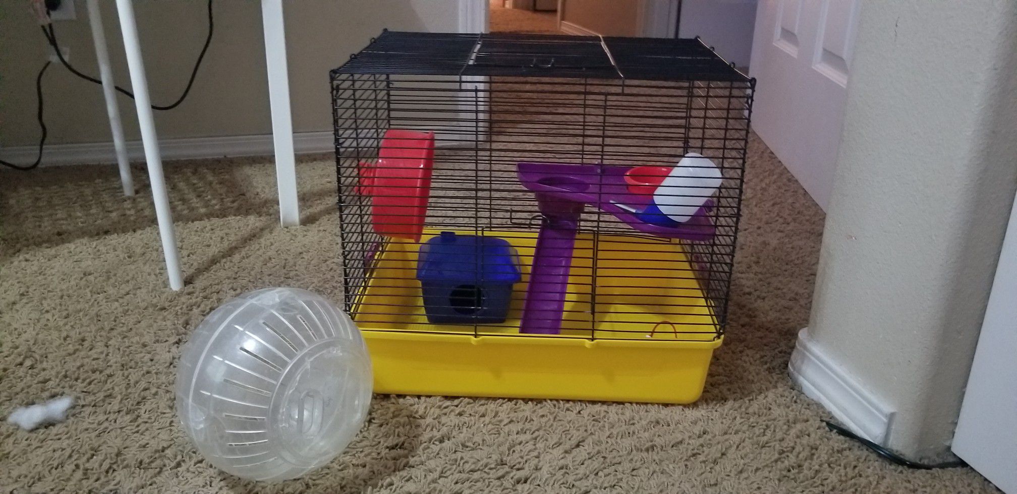 Hamster cage setup