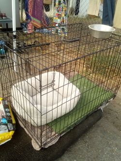 Cage large