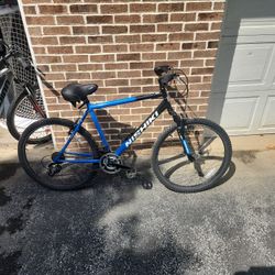 Nishiki Mountain Bike Size 20