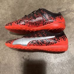 Puma Men 's Evopower vigor 4 Graphic TT Red And Black