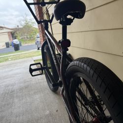 Elite Bmx Bike  250$