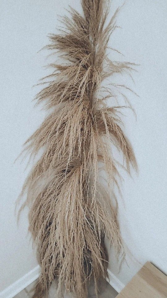 6ft Uva Taupe Stalk