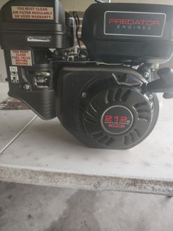 Go kart motor