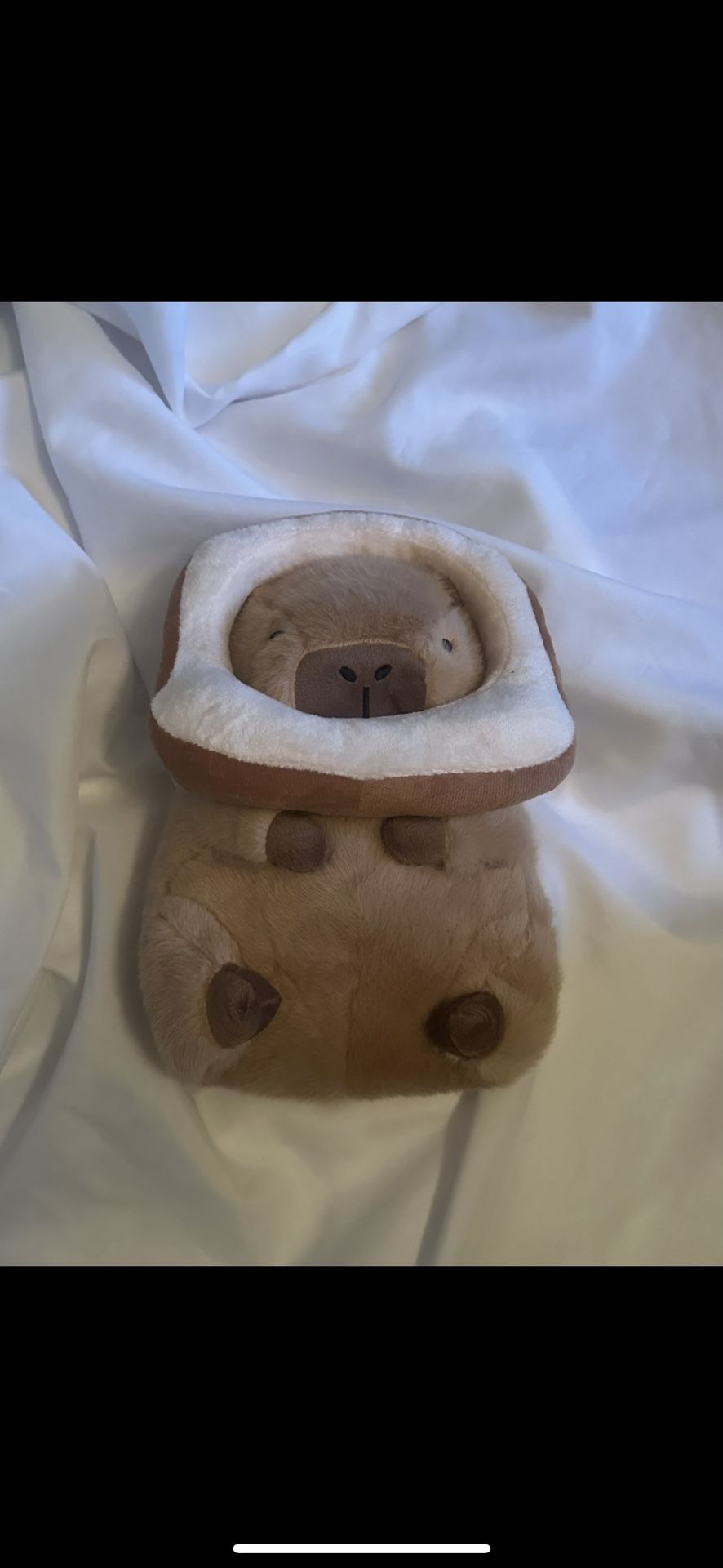 Capybara Detachable Toast Bread Cute Plush Stuffed Animal