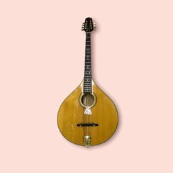 Gold Tone Mandolin