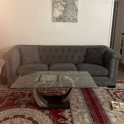 Couchs And  Table With Free Stuff 