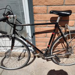 Schwinn Voyageur 11.8