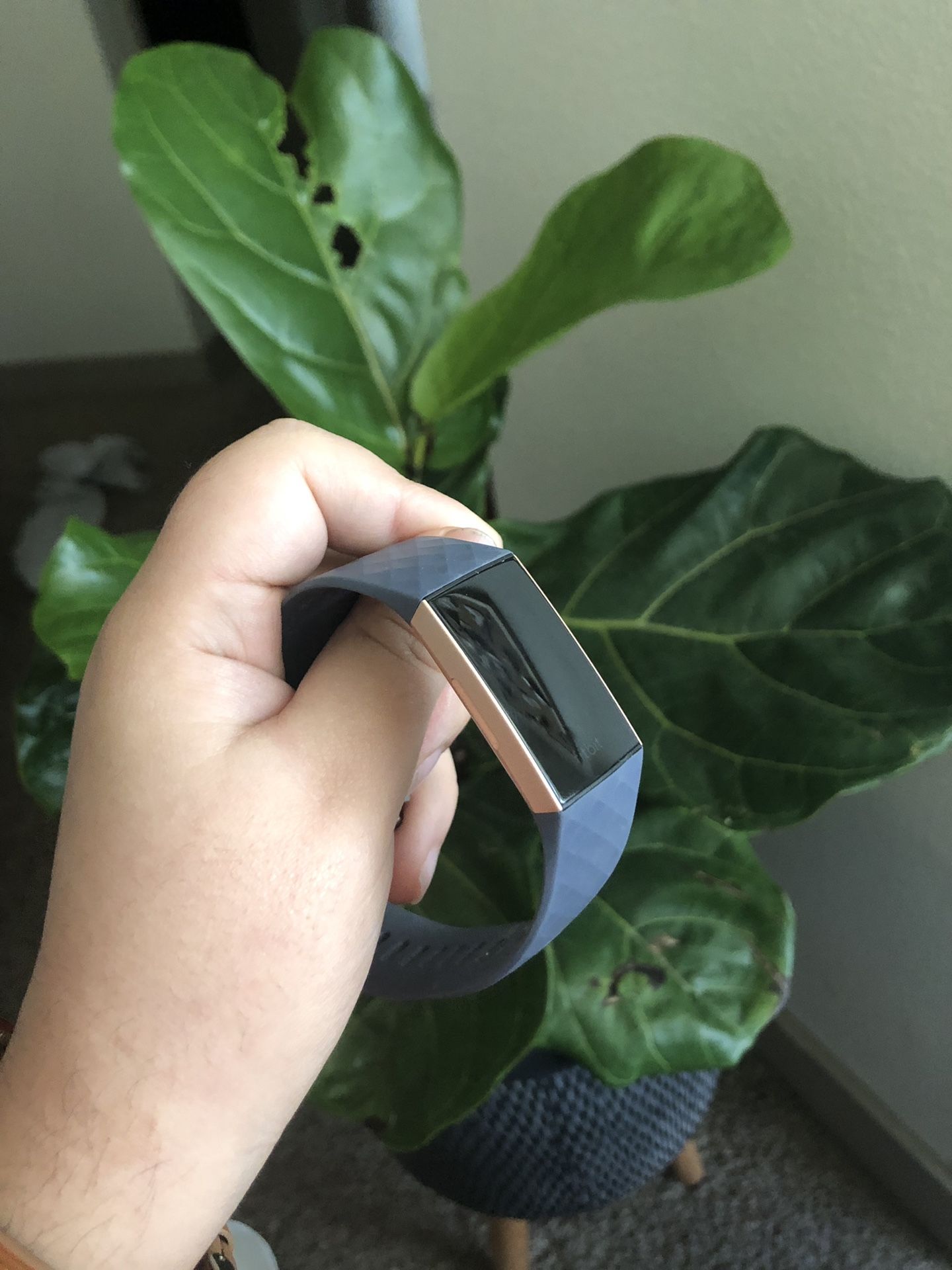 Fitbit charge 3